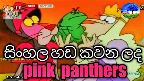 pink panther cartoon|pink panther cartoon sinhala.